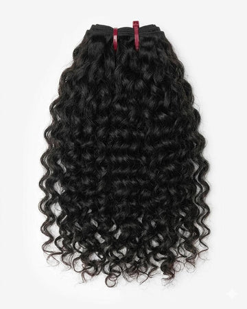 Aura Essential - Burmese Curly
